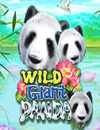 เกมสล็อตออนไลน์ เครดิต ฟรี: สูตรเด็ดทำกำไร